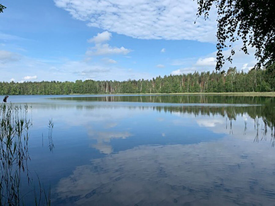 С. Орехово Рязанской области