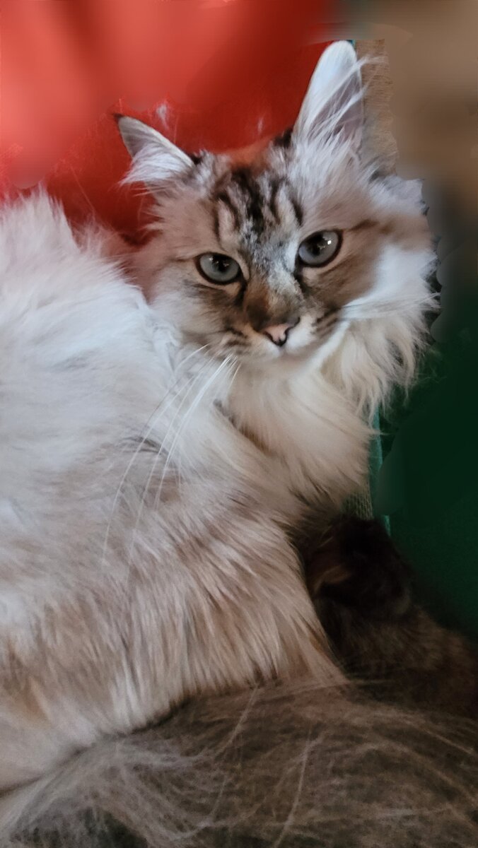 Что ты там хотела, говоришь?...