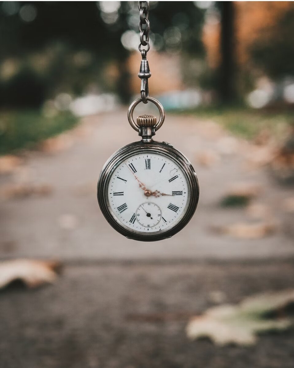 Photo by Andrik Langfield on Unsplash