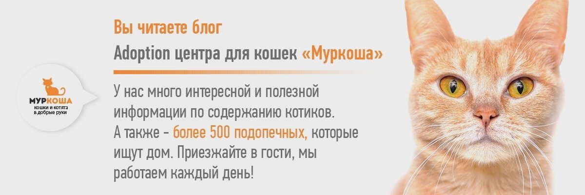 “Я кавказская, темпераментная, дикая”: как живет девушка-трансгендер из Дагестана