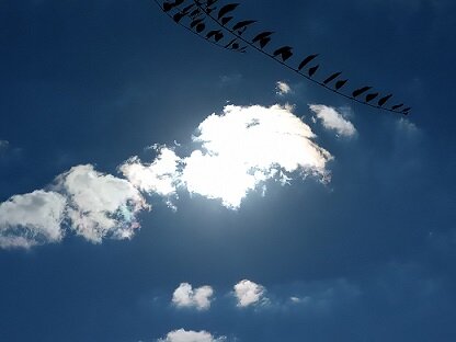 Фотография из личного архива автора