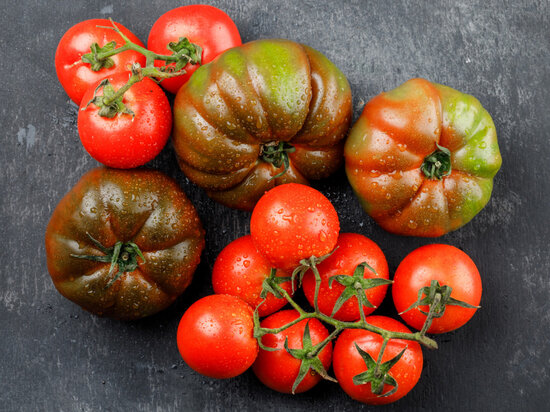     Фото: @8photo, freepik.com