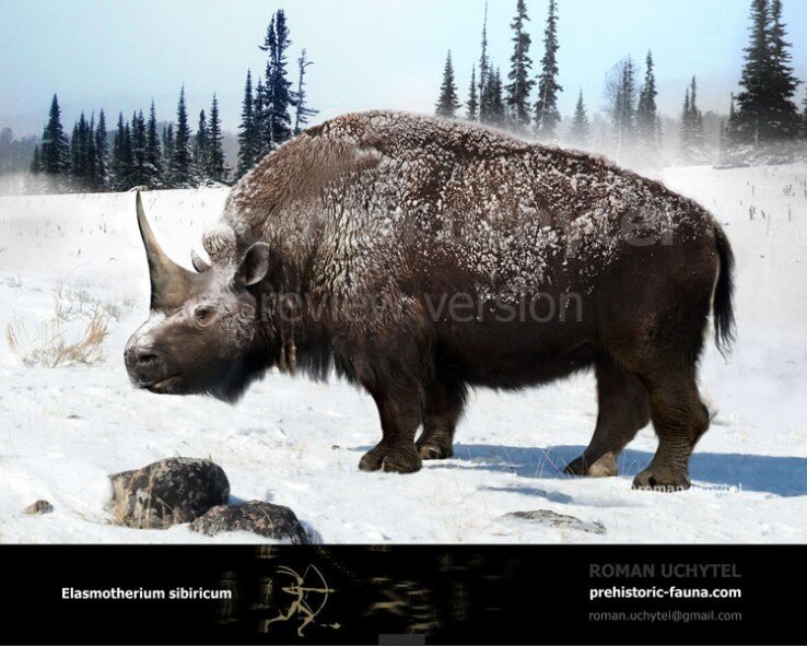 Что-то тут с едой не очень, надо на юг подаваться.