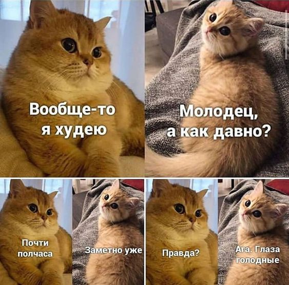 Посмеялся сам - поделись с другом!!!