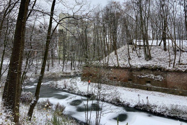   Фото: Калининград.Ru