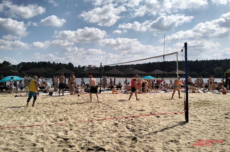    Фото:  АиФ/ Алексей Дубровин