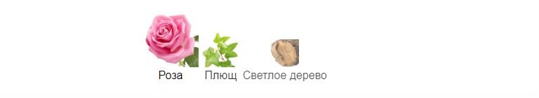fragrantica.ru