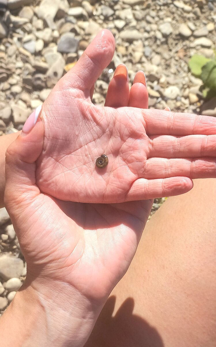 Только юным натуралистам всё нипочём 😊 Им нужно изучать природу. В любую погоду.