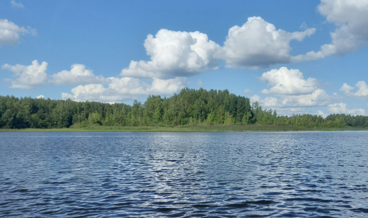 Шикарное место для прогулки на сапах в Подмосковье: только ты и природа.  Бонус - местная достопримечательность, которую не видно с воды. | АдиссеЯ |  Дзен