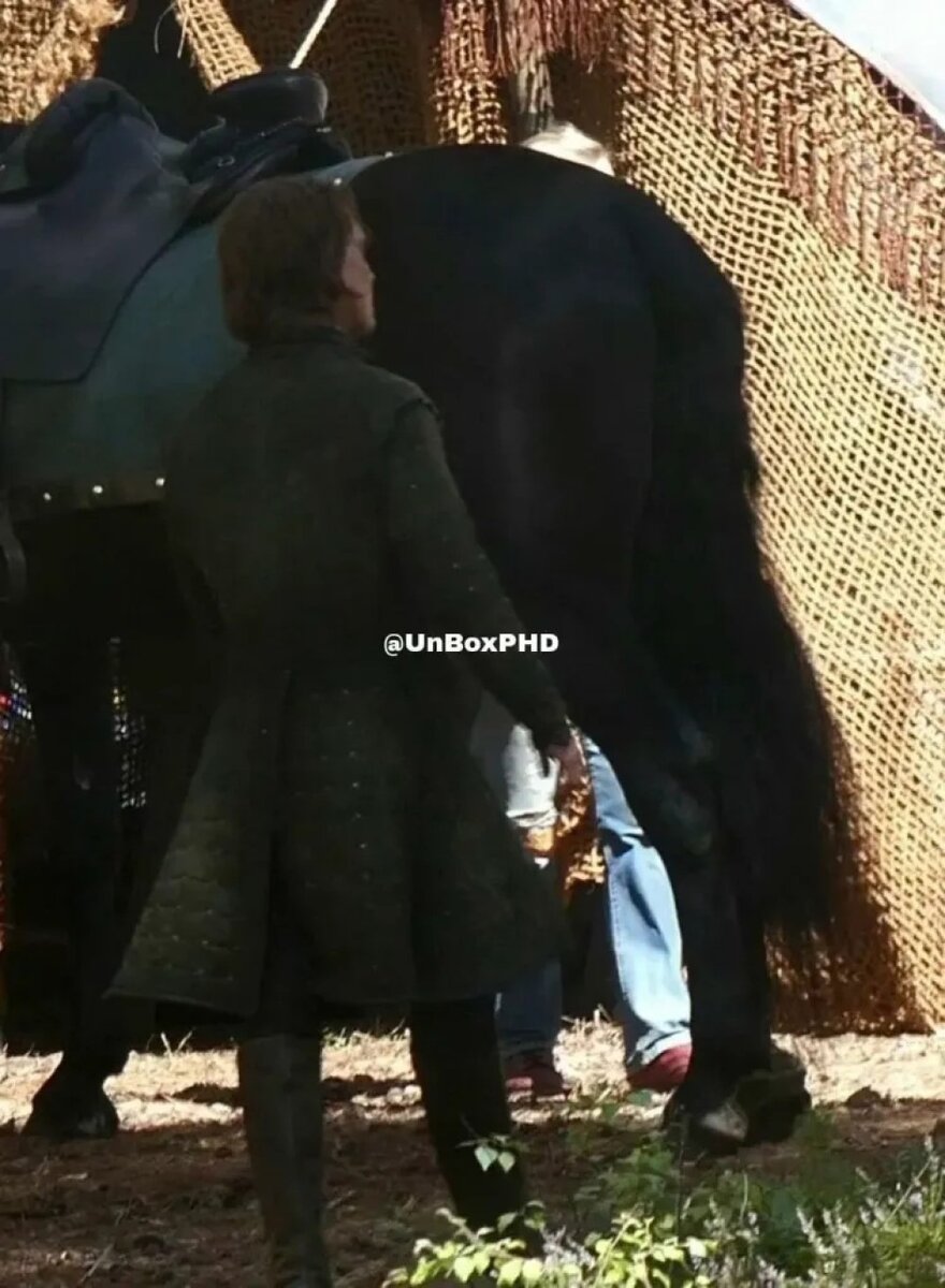     Фредди Фокс, кадр со съемок 2 сезона сериала «Дом дракона» (2024)