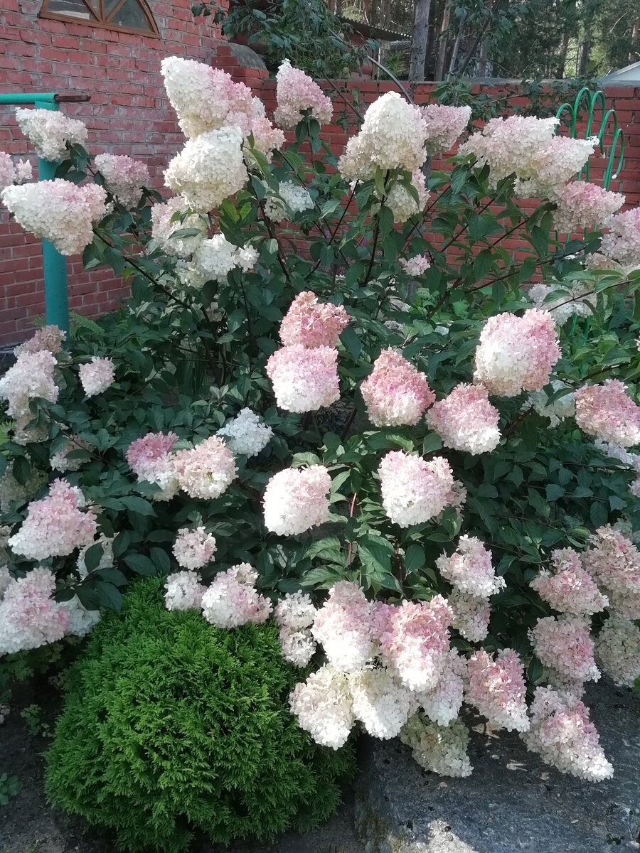 Фото из личного архива автора канала 