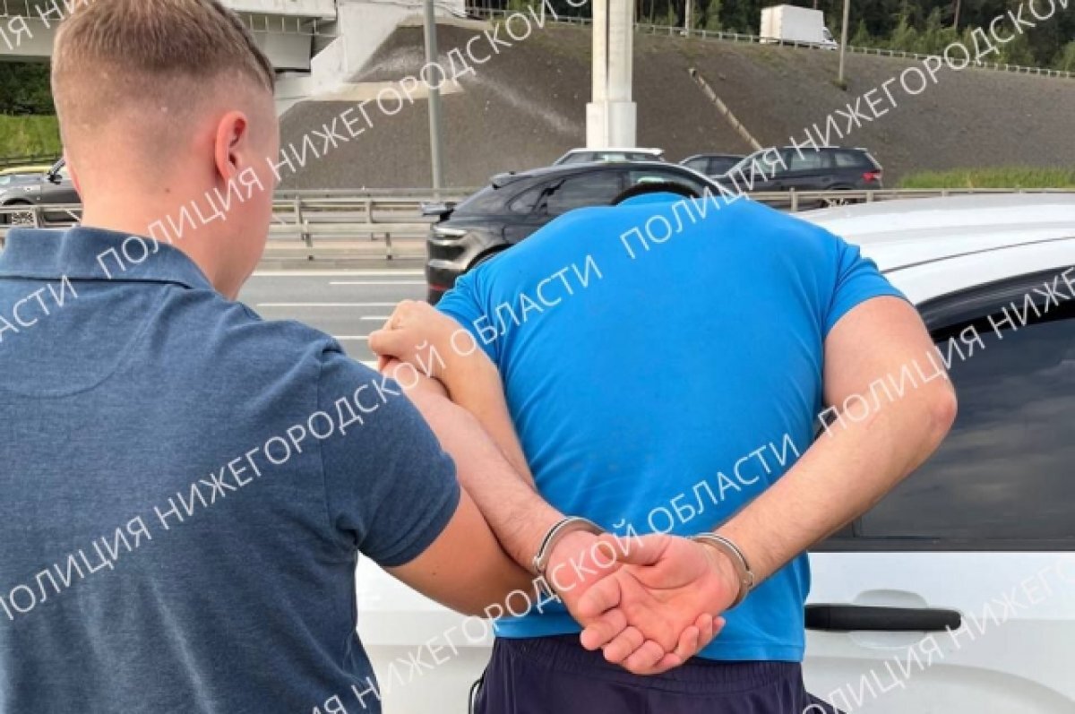   В Нижегородской области арестован обвиняемый в изнасиловании школьницы
