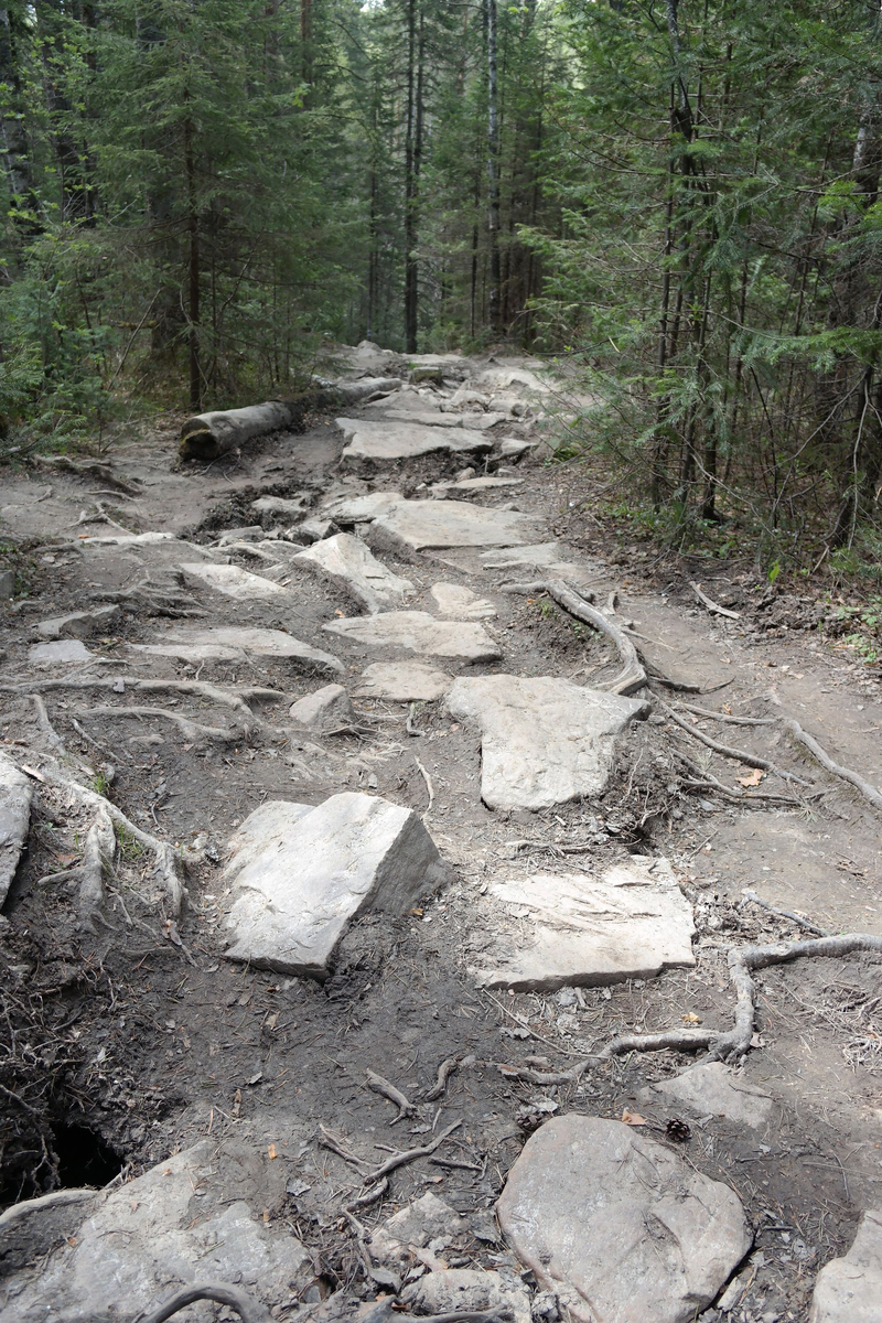 А по ней еще вниз бежать 😐