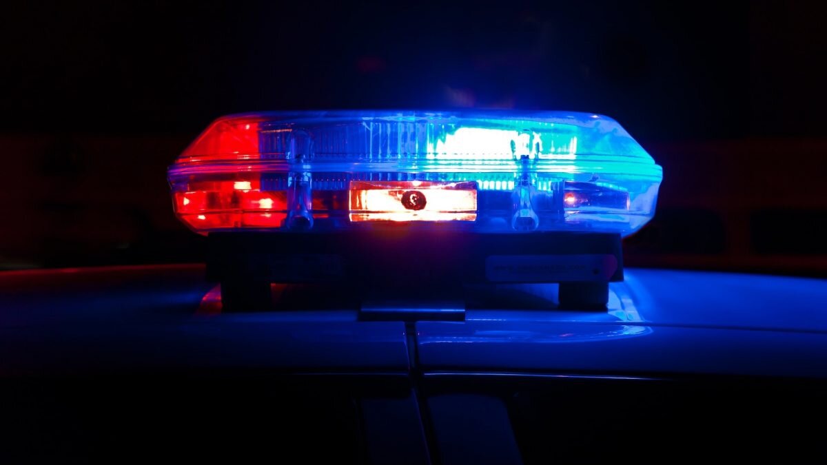    Фото: Scott Rodgerson / Unsplash Лия Миронова