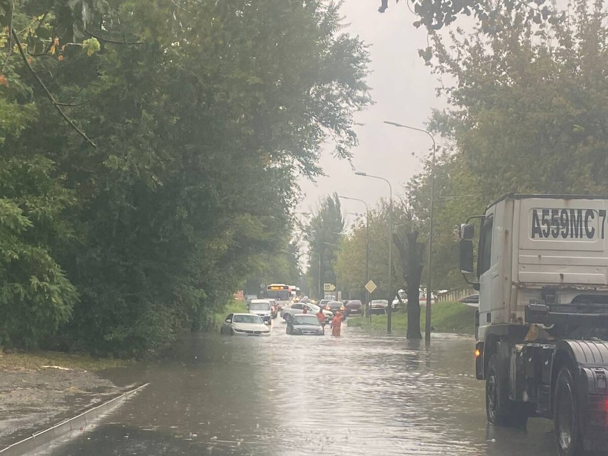 Фото: УГИБДД по Ростовской области/предоставлено телеканалу Царьград 