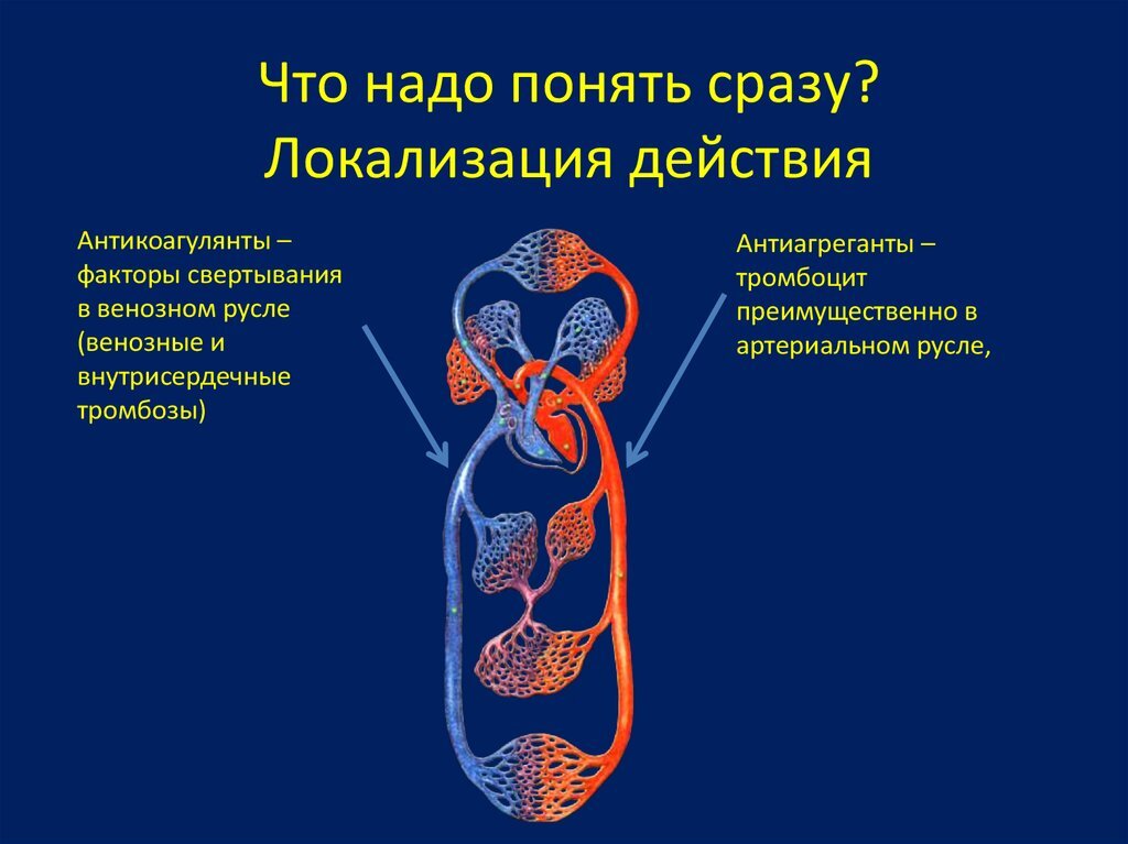 Внутрисердечный тромбоз. Кровяное русло. Антиагреганты и антикоагулянты презентация. Артериальное и венозное русло. Антикоагулянты при инсульте.