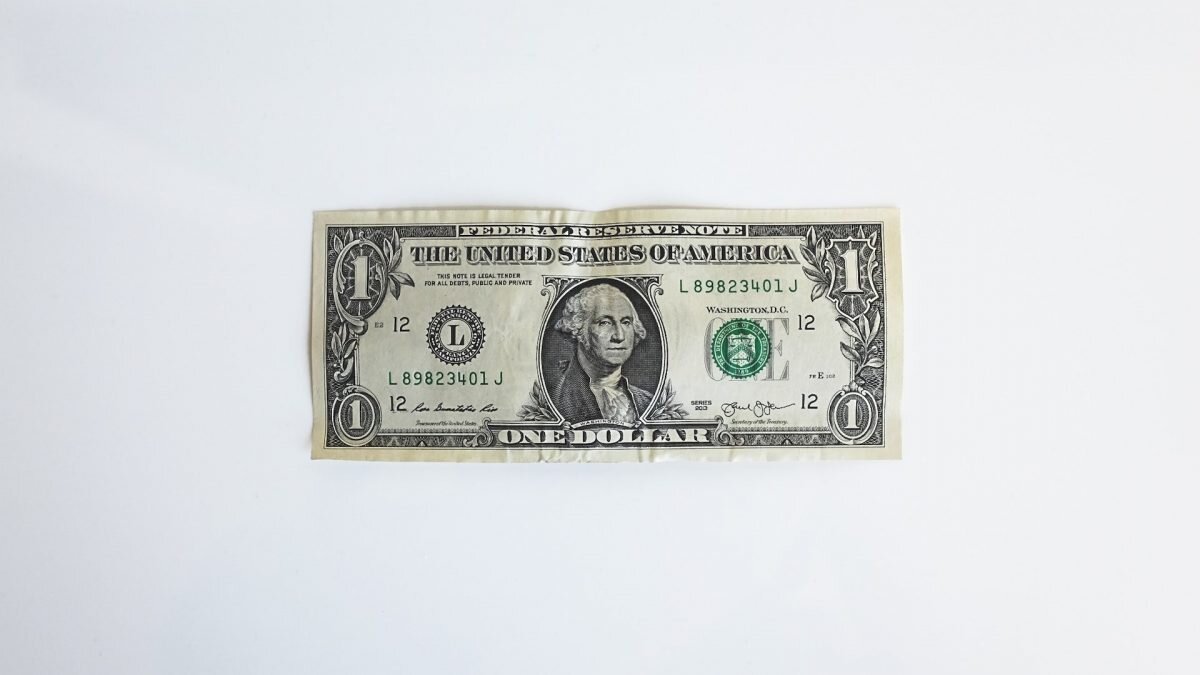    Фото: Unsplash Август Макаров