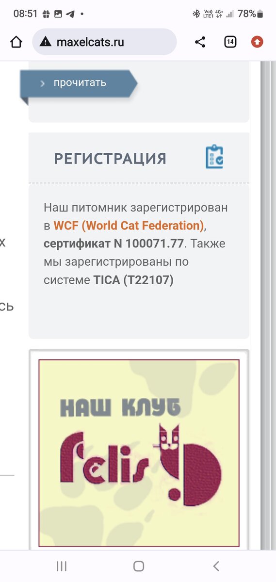 Скрин-шот с сайта Maxelcats.ru