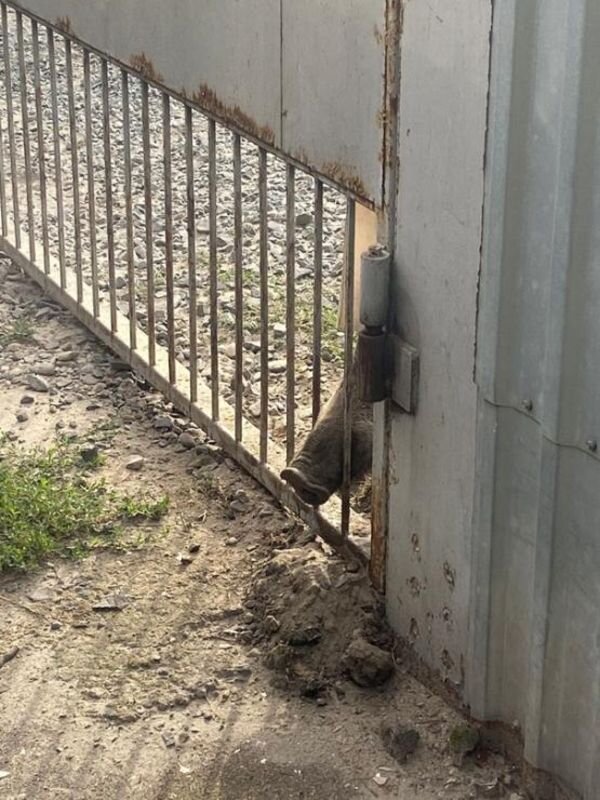 Источник фото: Мария Петрова/Vk.com