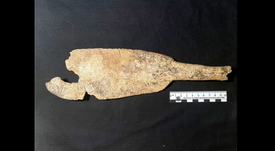   Институт истории материальной культуры РАН / VK