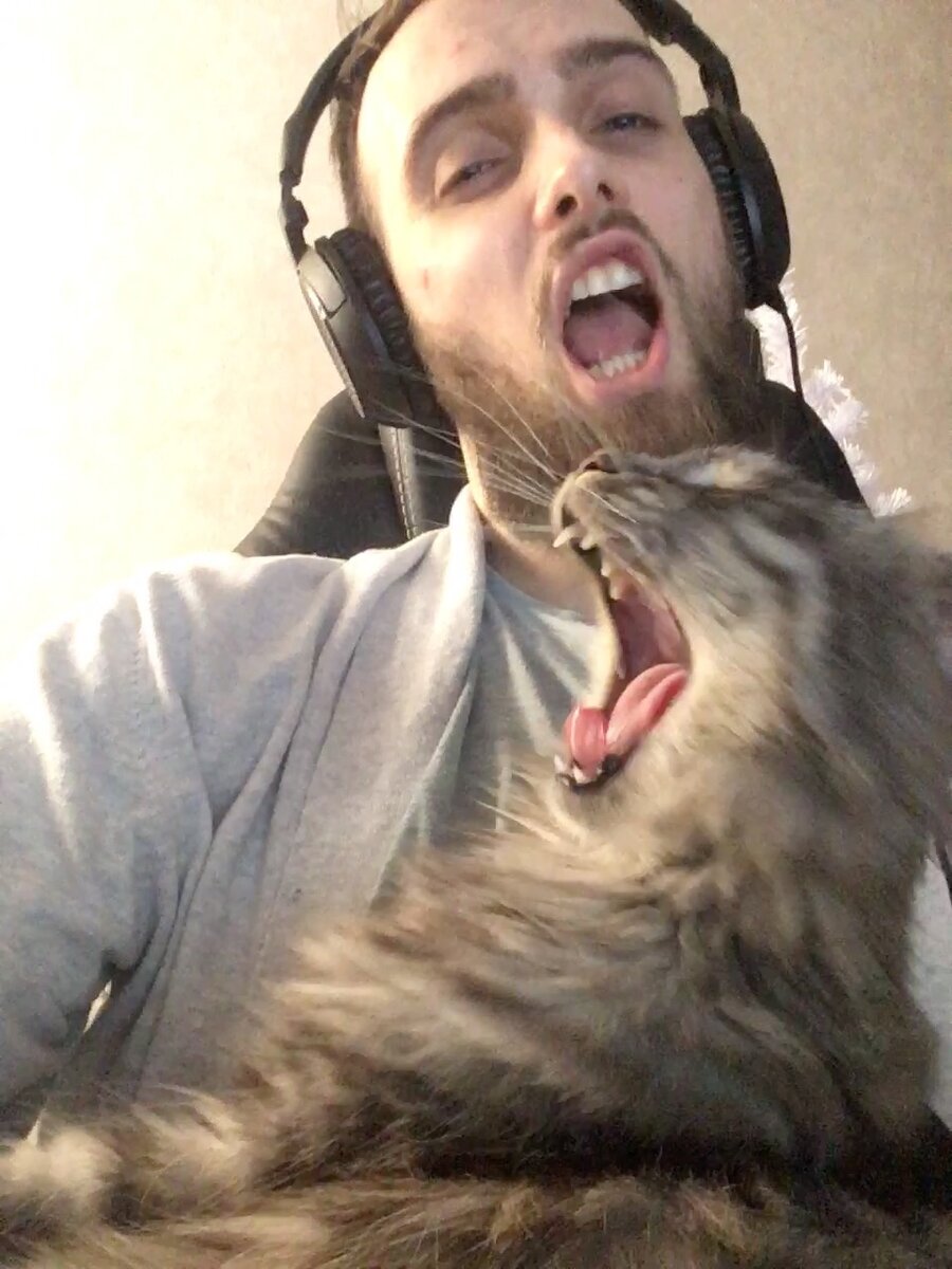 Просто картинка, где я с моей кошкой зеваем на рабочем месте, где-то между турнирными играми (а может и на них 😉)