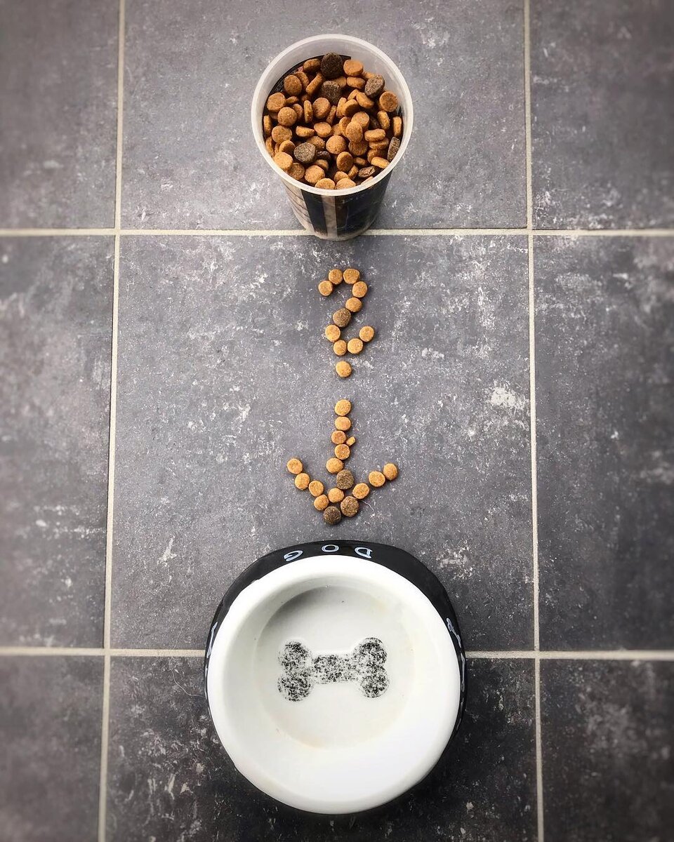 Источник: https://pixabay.com/