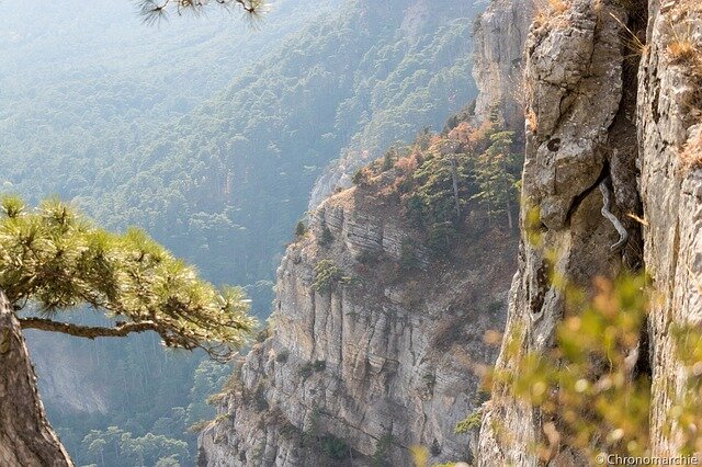 Вид с горы Ай-Петри
