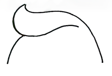 Итак, приступим к самому первому этапу в изображении нашей какашки. С помощью легких волнистых линий нужно нарисовать верхушку.
