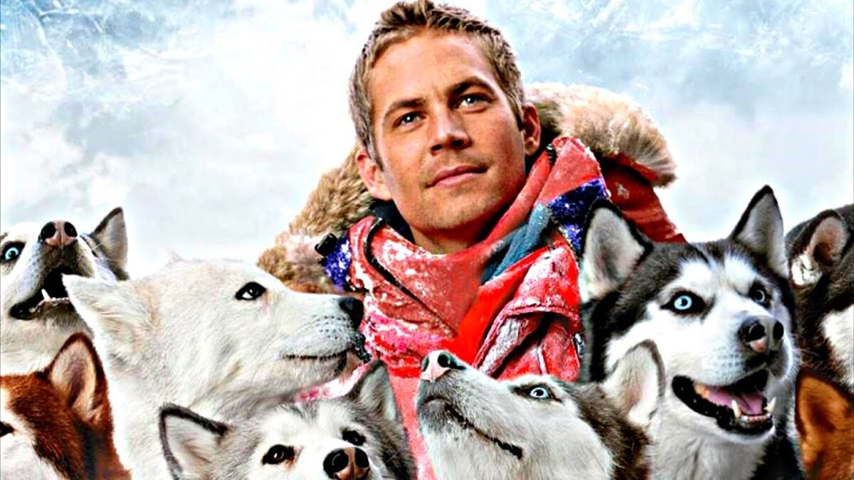 джерри из белого плена. белый плен настоящие собаки. белый плен макс. джерри из. белый плен майя.