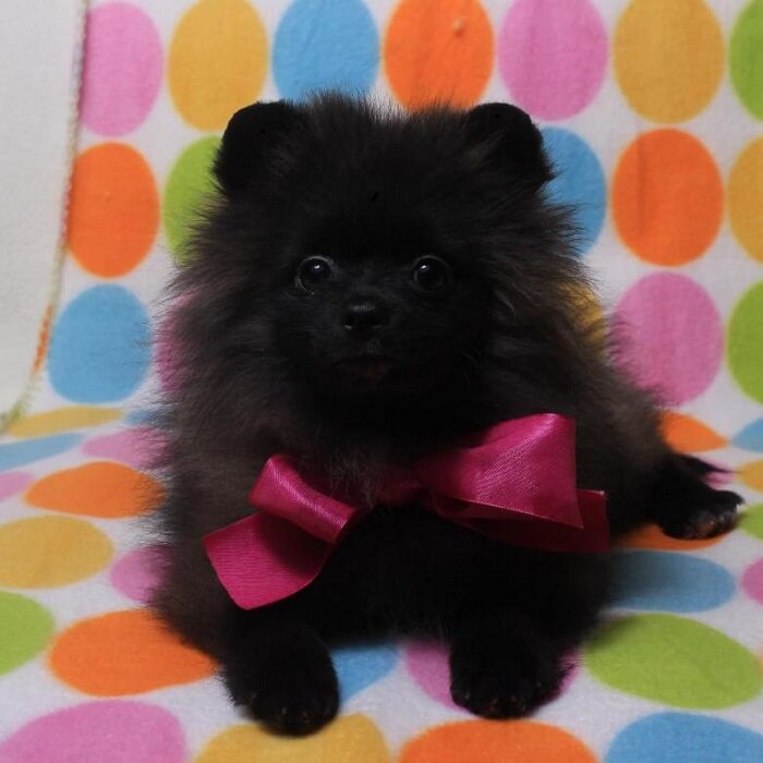 Ставьте лайк авансом и я не разочарую Вас контентом! Подписывайтесь на мой канал, чтобы не пропускать новые статьи и нарративы!