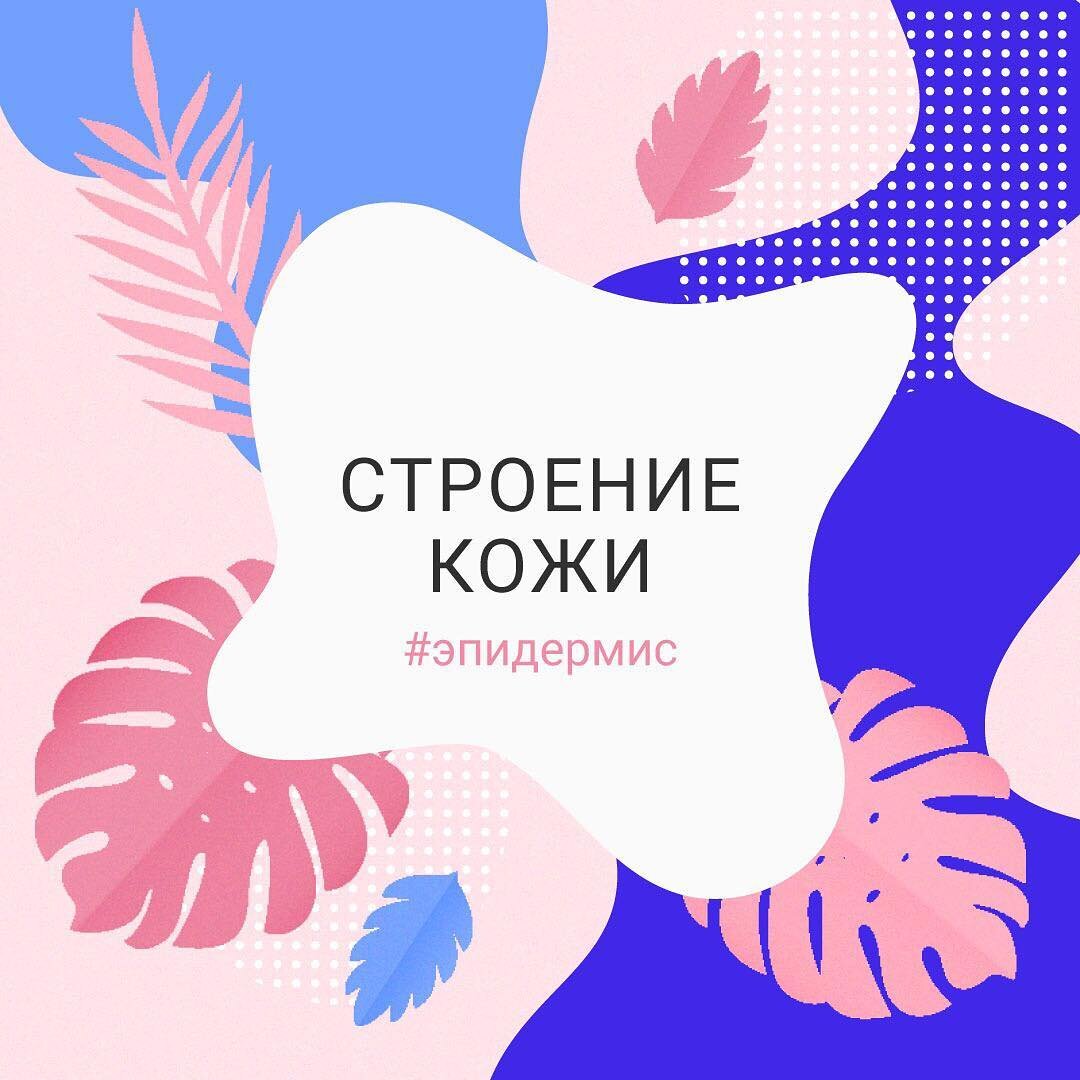 Защитная крепость, гиалуроновая фабрика и склад энергетиков: Что такое наша кожа?  