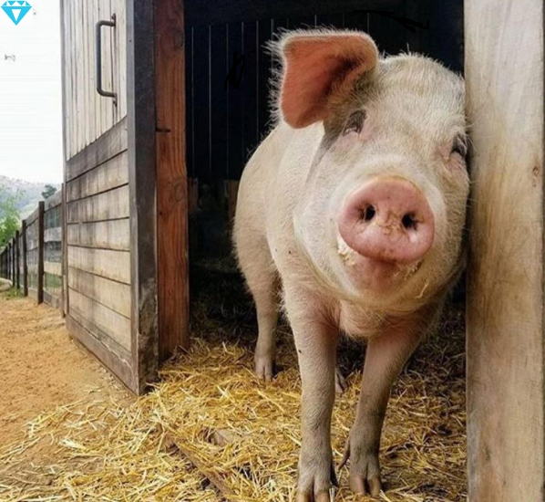 Подпишитесь на канал и поставьте лайк! Тем самым вы поможете каналу развиваться! Заранее спасибо!