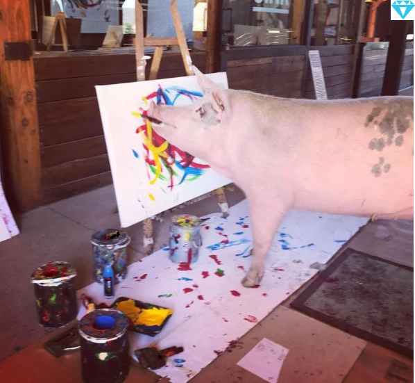 Как вам такое чудо природы? Напишите в комментариях.