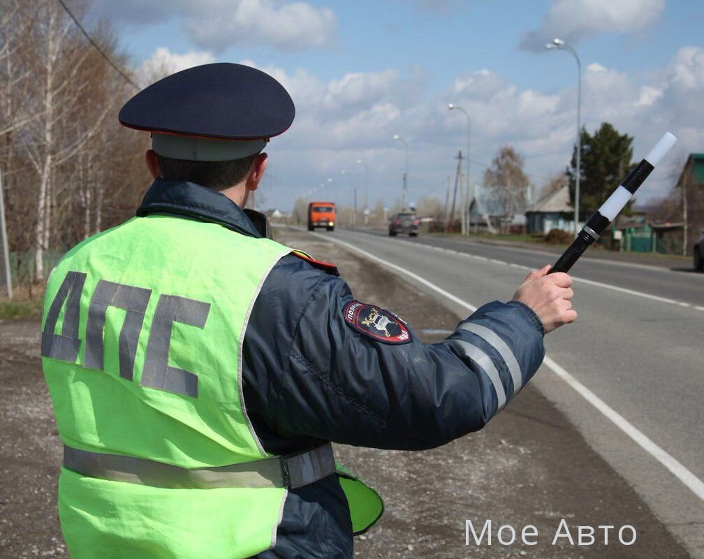 Фото взято из открытых источников