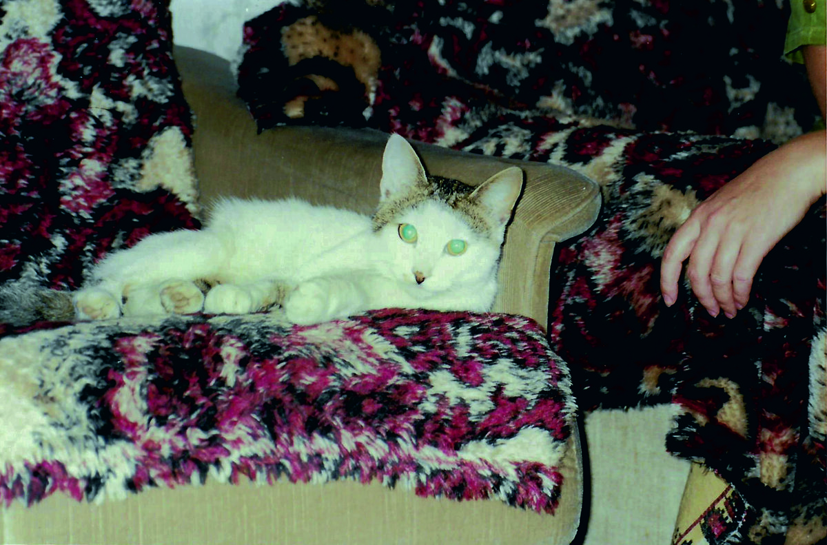 Здесь Кисе примерно 2 года