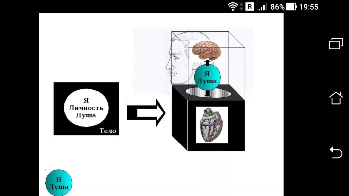 Эволюция души нумерология саморазвитие. Как душа выбирает новую жизнь. Душа выбирает тело. Малыш на небесах. Душа выбирает жизнь.