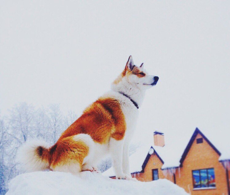 Фото: соцсети