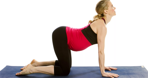 Катуспадасана.  Встаем на четвереньки, руки находятся ровно под плечиками, а колени  постарайтесь поставить именно под бедра. На вдохе одновременно поднимаем  копчик и голову вверх, при этом прогибаем поясничку. Движения должны  быть плавными, в удовольствие. Выдыхая делаем все наоборот, спинку  выгибаем, а копчик подбираем под себя и опускаем голову.