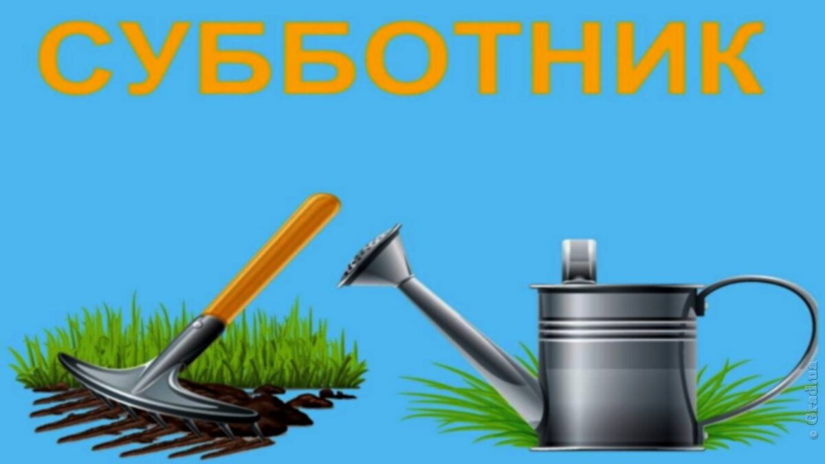 Все на субботник картинки прикольные с надписями