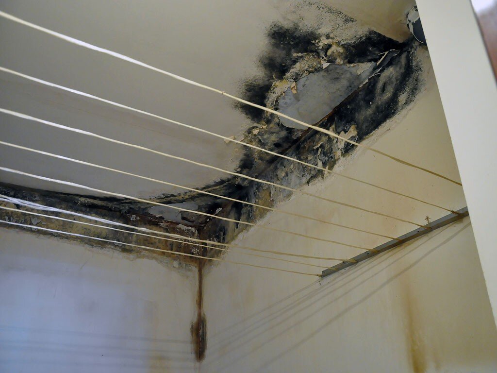 Яндекс картинки.