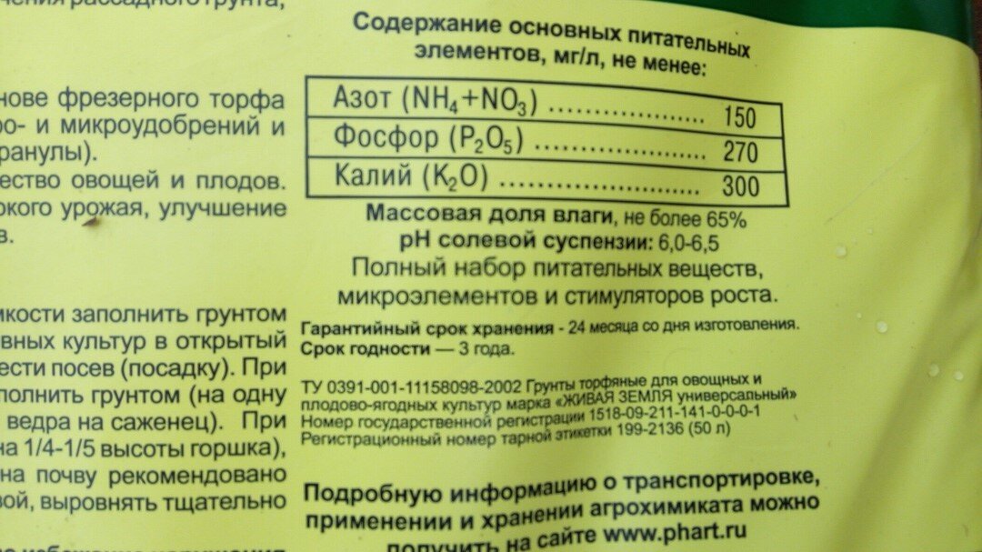 Какая земля лучше для рассады - садовая или покупная? Сравнение и рекомендации