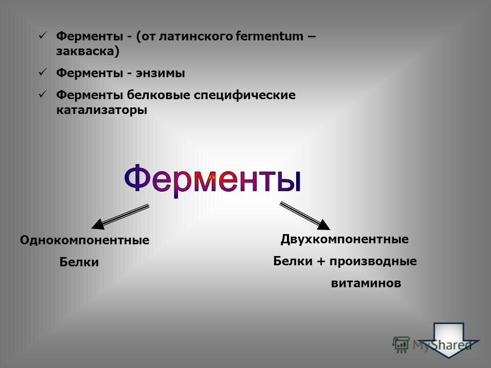 Ферменты и энзимы