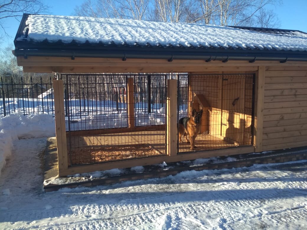 Фото "Строй-мастер" САВВАМОС. Камчатка, охранник.