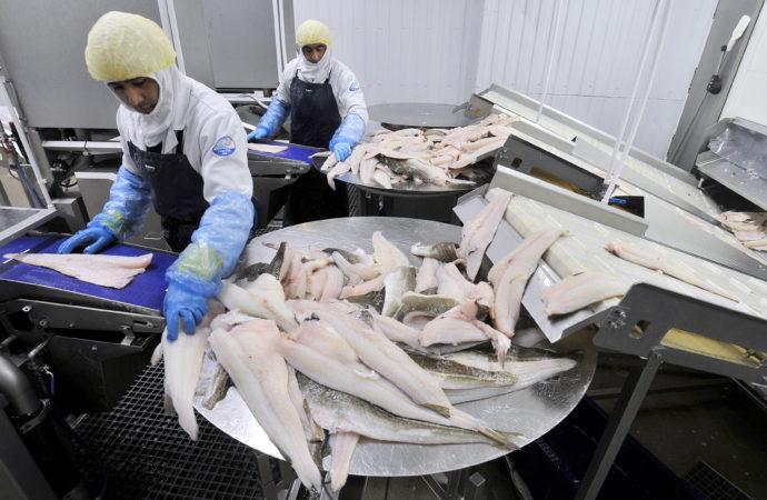  Фото: Lev Fedoseyev/TASS