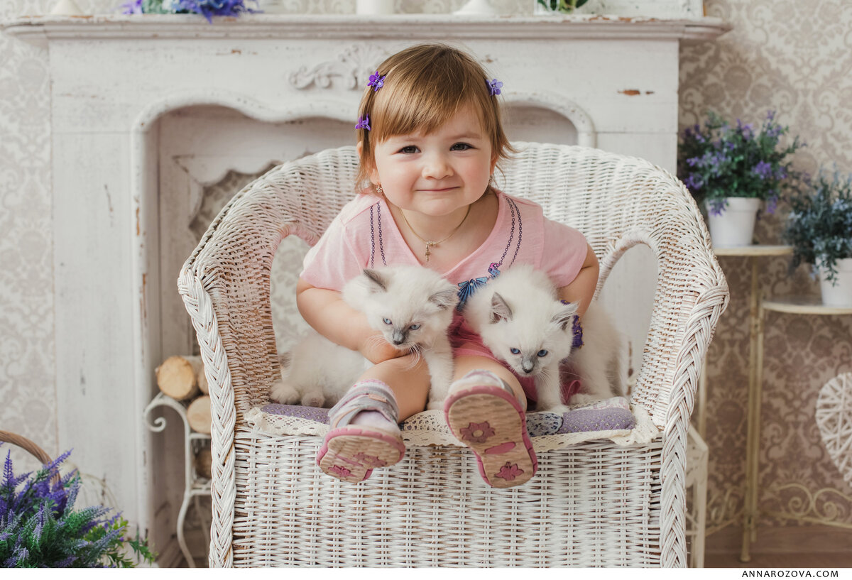 Ни один уважающий себя питомник не станет выдавать котят неизвестного происхождения за своих....