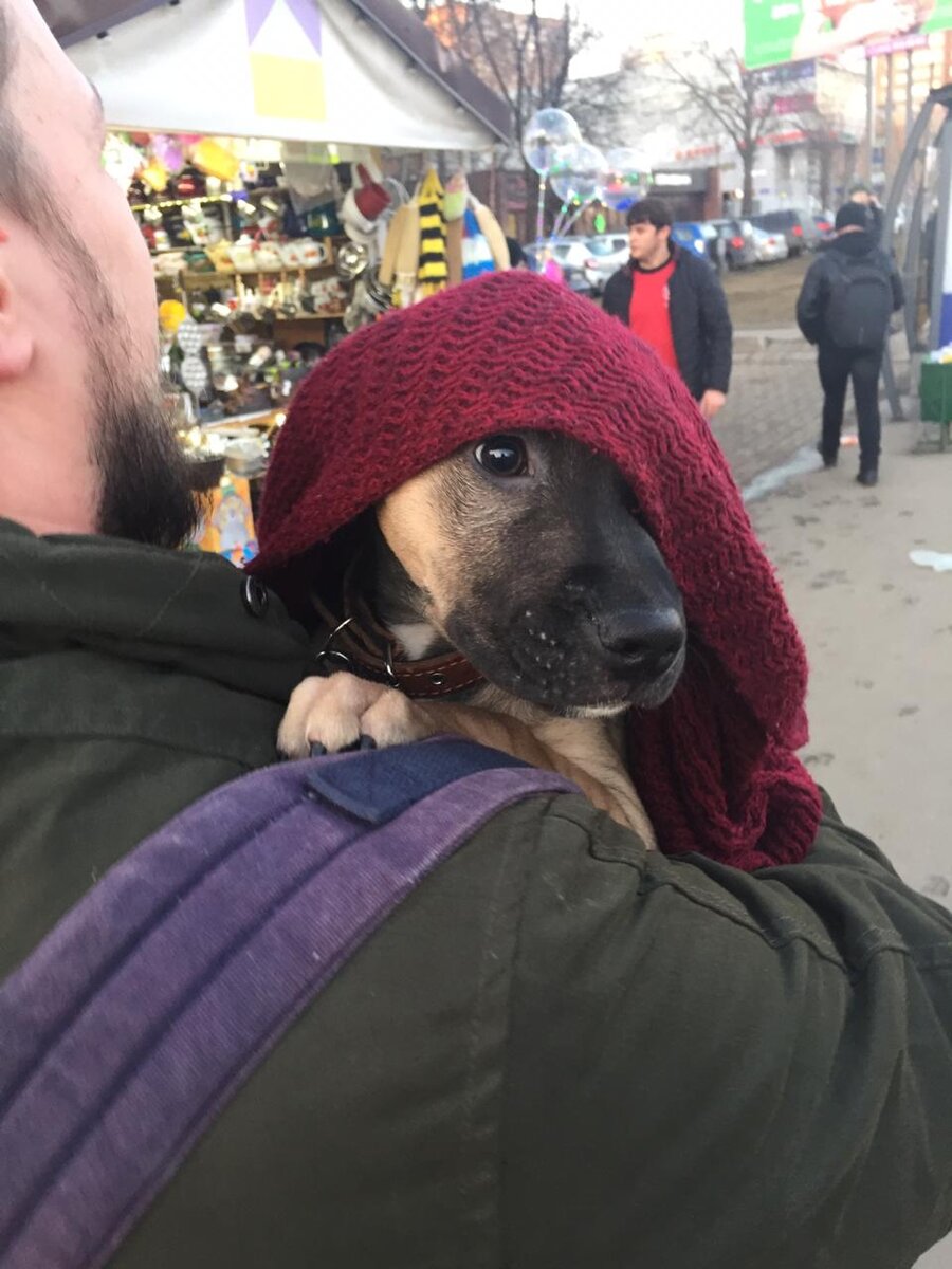 Настоящий джедай