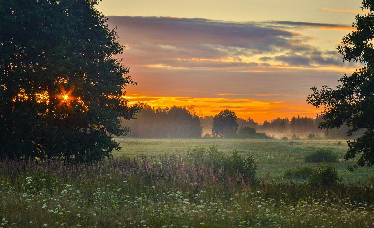 Лето восход закат. Утренний пейзаж деревня Герасимов. Летний рассвет. Природа рассвет. Рассвет летом.