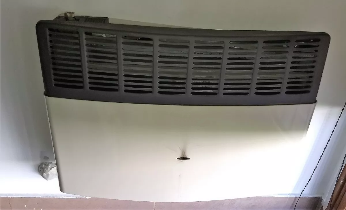 Вид на эстуфу вблизи