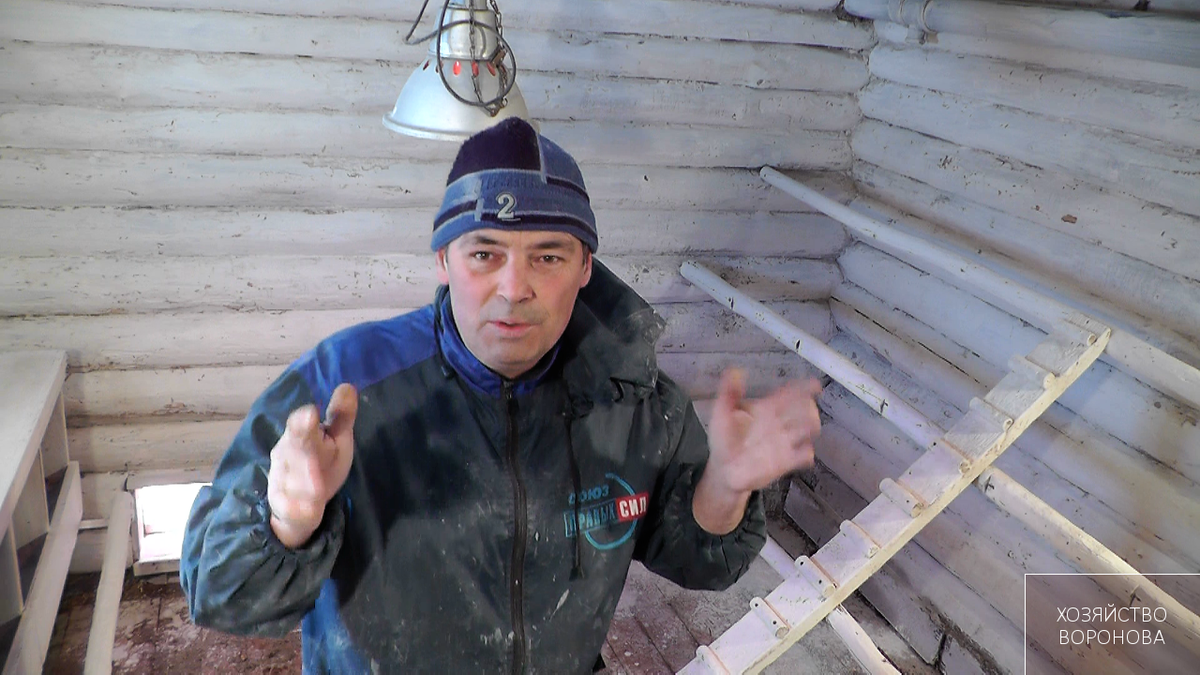 Я в процессе обработки курятника