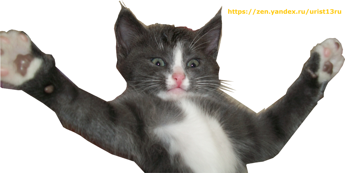 Фото принадлежит автору на правах правообладателя